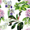 Tropical rhododendron flowers and iris seamless pattern watercolor. Royalty Free Stock Photo