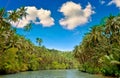 Tropical river Royalty Free Stock Photo