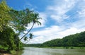 Tropical river Royalty Free Stock Photo