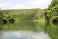 Tropical river Chavon Royalty Free Stock Photo