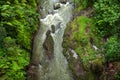 Tropical river flowing in the forest. Aerial view Royalty Free Stock Photo