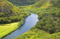 Tropical river in jungle, areal view