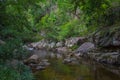 Tropical river in jungle Royalty Free Stock Photo