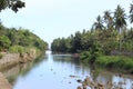 Tropical river leaving the sea Royalty Free Stock Photo