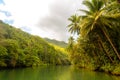 Tropical river with palm trees on both shores, Loboc river, Bohol, Philippines Royalty Free Stock Photo