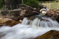 Tropical river stream surrounded by green forest in the park Royalty Free Stock Photo