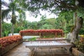 Tropical rural house home garden bamboo wooden on balcony terrace with natural forest view background. Interior, Exterior Architec Royalty Free Stock Photo