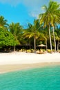 Tropical sand beach with palm trees. Maldives Island Royalty Free Stock Photo