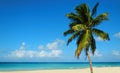 Tropical sandy beach with exotic palm tree, against blue sky and azure water Royalty Free Stock Photo