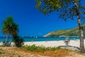 Tropical sandy beach landscape