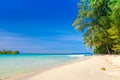 Tropical sandy beach overgrown green palm tree with clear sea water on background blue sky Royalty Free Stock Photo