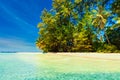 Tropical sandy beach overgrown green palm tree with clear sea water on background blue sky Royalty Free Stock Photo