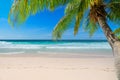 Tropical sandy beach with palm and turquoise sea. Royalty Free Stock Photo