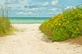 Tropical, sandy, beach with sea oats and flower bushes bordering pathway Royalty Free Stock Photo