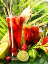 Tropical Sangria Cocktail on sunny Background Royalty Free Stock Photo