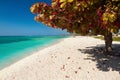 Tropical scene of Bay beach