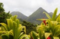 Tropical scene of Martinique mountains, Mount Pelee in the background, Lesser antilles. Royalty Free Stock Photo