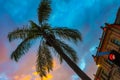 Tropical scene - Palm tree silhouetted diagonally against a colorful sunset sky with an old building with red decorative lights to Royalty Free Stock Photo