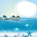 Tropical scene with underwater life and text place Royalty Free Stock Photo