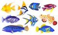 Tropical sea and aquarium fishes collection on white background. Set of freshwater and saldwater aquarium cartoon fishes Royalty Free Stock Photo