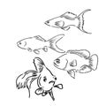 Tropical sea and aquarium fishes collection on white background. Set of freshwater and saldwater aquarium cartoon fishes Royalty Free Stock Photo