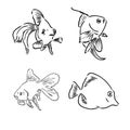 Tropical sea and aquarium fishes collection on white background. Set of freshwater and saldwater aquarium cartoon fishes Royalty Free Stock Photo