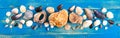 Tropical sea background. Different shells on the blue boards, top view. Banner. Summer theme Royalty Free Stock Photo