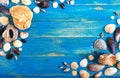 Tropical sea background. Different shells on the blue boards, top view. Free space for inscriptions. Summer theme Royalty Free Stock Photo