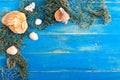 Tropical sea background. Different shells, old fishing net on the blue boards, top view. Free space for inscriptions. Summer theme