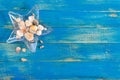 Tropical sea background. Different shells, in a starfish-shaped glass bowl on the blue boards, top view. Free space for Royalty Free Stock Photo