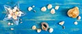 Tropical sea background. Different shells, in a starfish-shaped glass bowl on the blue boards, top view. Free space for Royalty Free Stock Photo