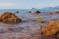 Tropical sea beach at Koh Change island