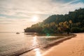 Tropical sea beach and palm forest in summer at Koh Kood Island Royalty Free Stock Photo