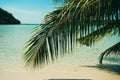 Tropical sea beach with sand and coconut tree. Island clear blue sky background at Koh Kood Island, Thailand. The leaves of palm Royalty Free Stock Photo