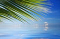 Tropical Sea with palm trees