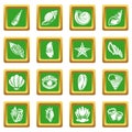 Tropical sea shell icons set green square vector Royalty Free Stock Photo