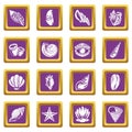 Tropical sea shell icons set purple square vector Royalty Free Stock Photo