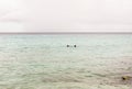 Tropical sea with two snorkeling people