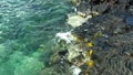 Tropical Sea Water Surging Up On Black Lava Rock Shore