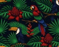 Tropical seamless background with exotic birds and flowers Royalty Free Stock Photo