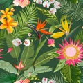 Tropical Seamless Floral Summer Pattern. For Wallpapers, Backgrounds, Textures, Textile, Cards. Royalty Free Stock Photo