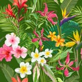 Tropical Seamless Floral Summer Pattern. For Wallpapers, Backgrounds, Textures, Textile, Cards. Royalty Free Stock Photo