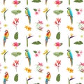 Tropical Seamless Floral Summer Pattern. For Wallpapers, Backgrounds, Textures, Textile, Cards. Royalty Free Stock Photo
