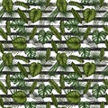 Tropical seamless pattern. Background with palm leaves monstera Royalty Free Stock Photo