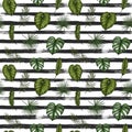 Tropical seamless pattern. Background with palm leaves monstera Royalty Free Stock Photo