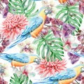 Tropical seamless pattern with birds leaves and flowers. Parrot. Etlingera. Monstera. Orchid. Watercolor illustration.