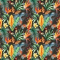 Tropical Seamless pattern. Butterflies, leaves and flowers, floral background. Vintage watercolor style. Flora design. Royalty Free Stock Photo