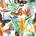 Tropical Seamless pattern. Butterflies, leaves and flowers, floral background. Vintage watercolor style. Flora design. Royalty Free Stock Photo