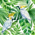 Tropical seamless pattern. Cockatoo bird and palm leaves on white background. Wild design Royalty Free Stock Photo