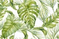 Tropical seamless pattern. Exotic green banana, monstera and palm leaves composition. Hand drawn watercolor on white background. Royalty Free Stock Photo